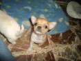 /album/fotogaleria/image-3-jpg/